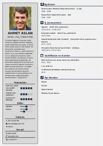 cv indir
